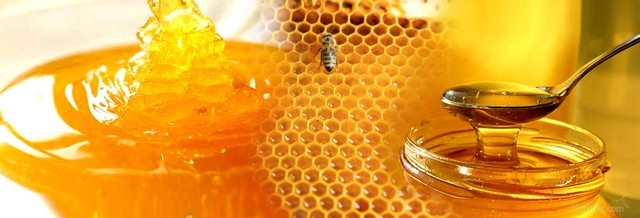 Mẹo nhận biết mật ong rừng 