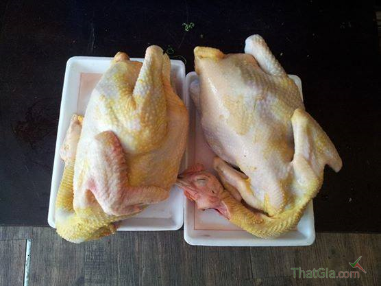 Cách phân biệt gà ta Việt Nam và gà thải Trung Quốc