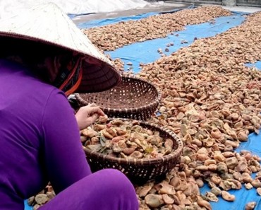 Ô mai bẩn và những tác hại khôn lường