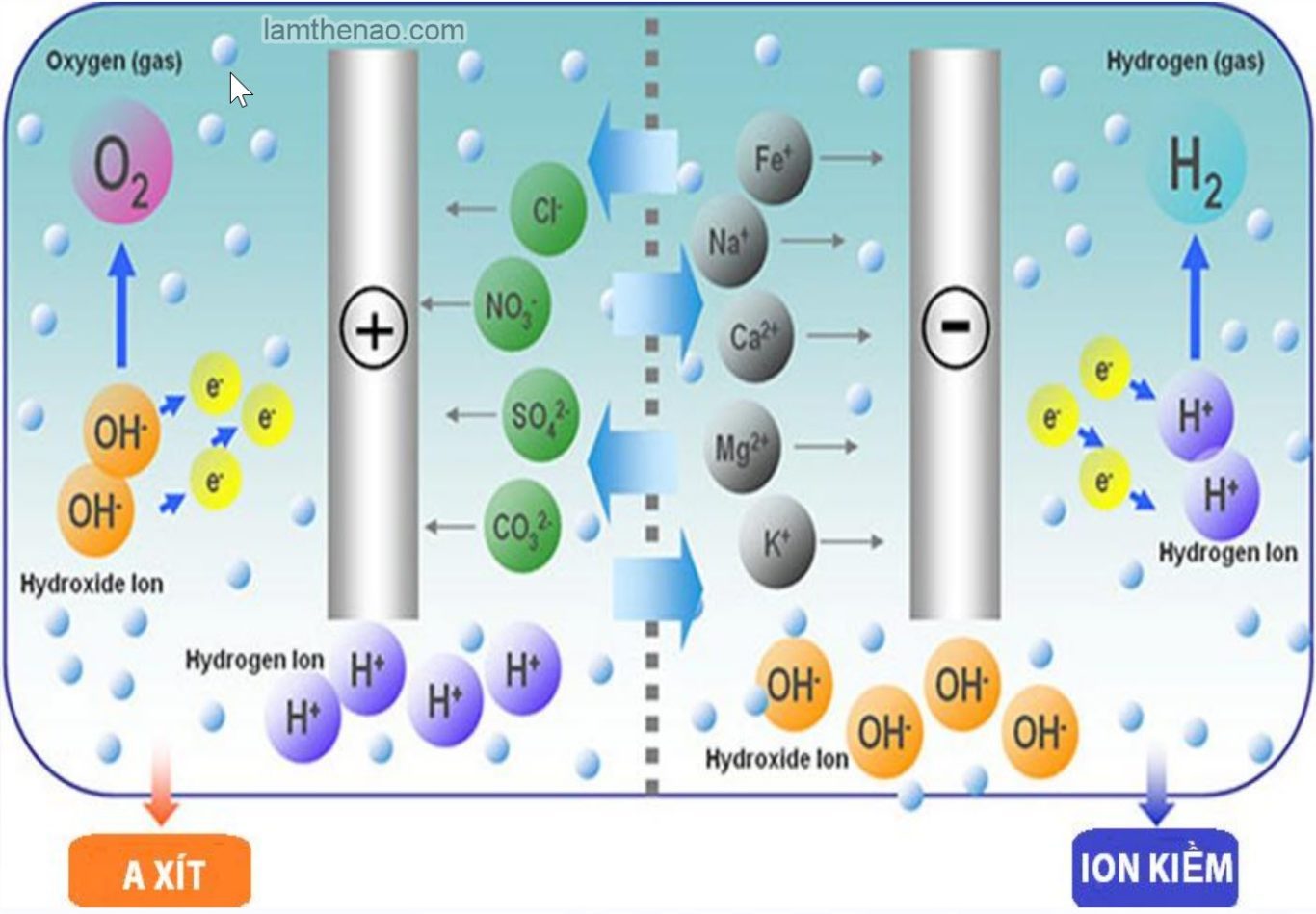 Nước ion kiềm tươi OH- là loại nước gì?